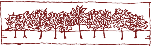 weaverville logo transparent trees.png